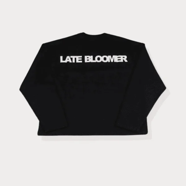 retro LB SWEATSHIRT CROPPED - Dame de la plaine - Edropit